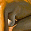 Allegories 1