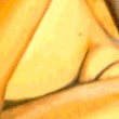 citi14 copy