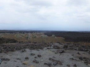 P1010794