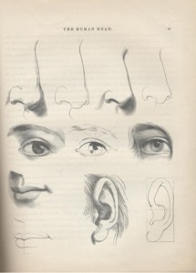 Page from John Gadbsy Chapman's American Drawing Book, 1847